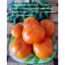 Гном Німю